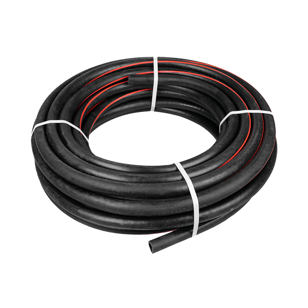 Изображение загружено обработкой по данным файла