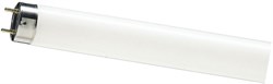 Лампа люм. Philips T8 G13 18W 4000 590*26