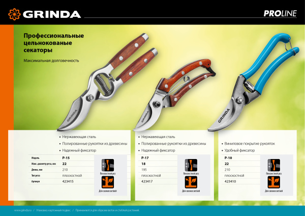 Изображение загружено обработкой по данным файла