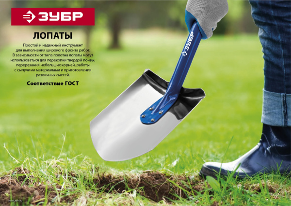 Изображение загружено обработкой по данным файла