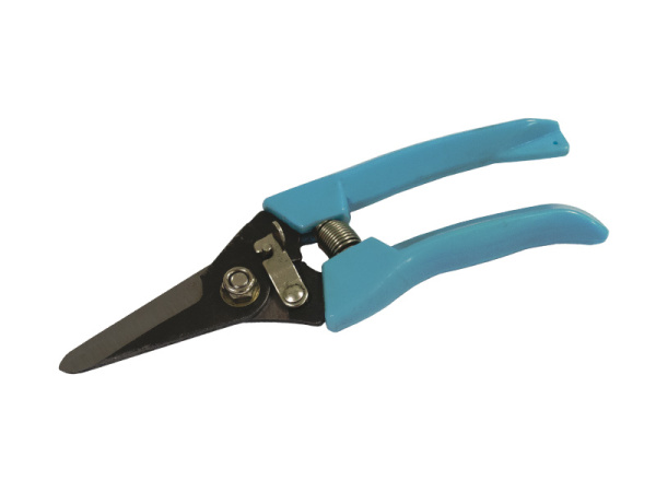 Изображение загружено обработкой по данным файла