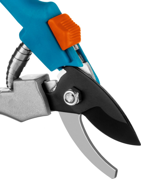 Изображение загружено обработкой по данным файла