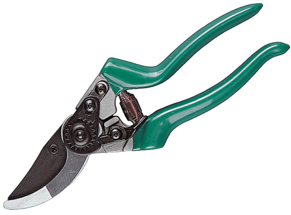 Изображение загружено обработкой по данным файла