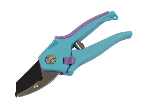 Изображение загружено обработкой по данным файла