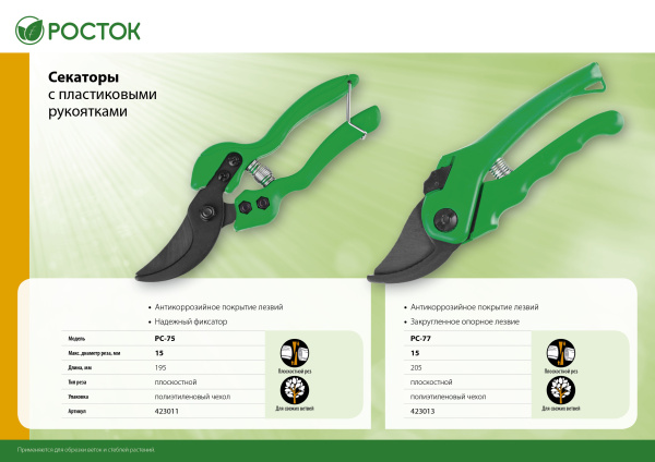 Изображение загружено обработкой по данным файла