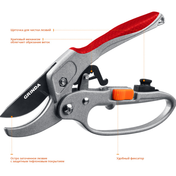Изображение загружено обработкой по данным файла