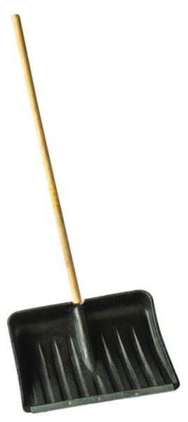 Изображение загружено обработкой по данным файла