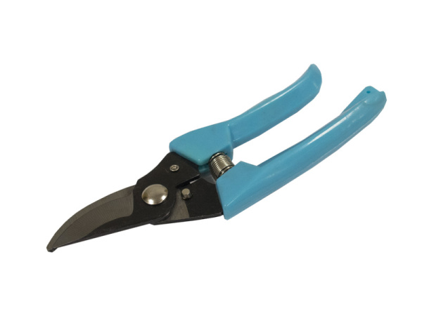 Изображение загружено обработкой по данным файла