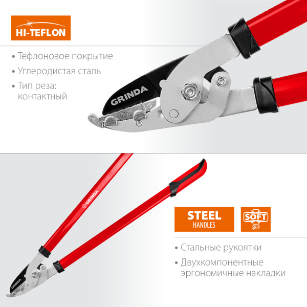 Изображение загружено обработкой по данным файла